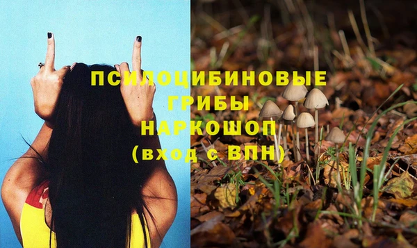 спиды Абинск