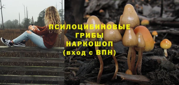 spice Магас