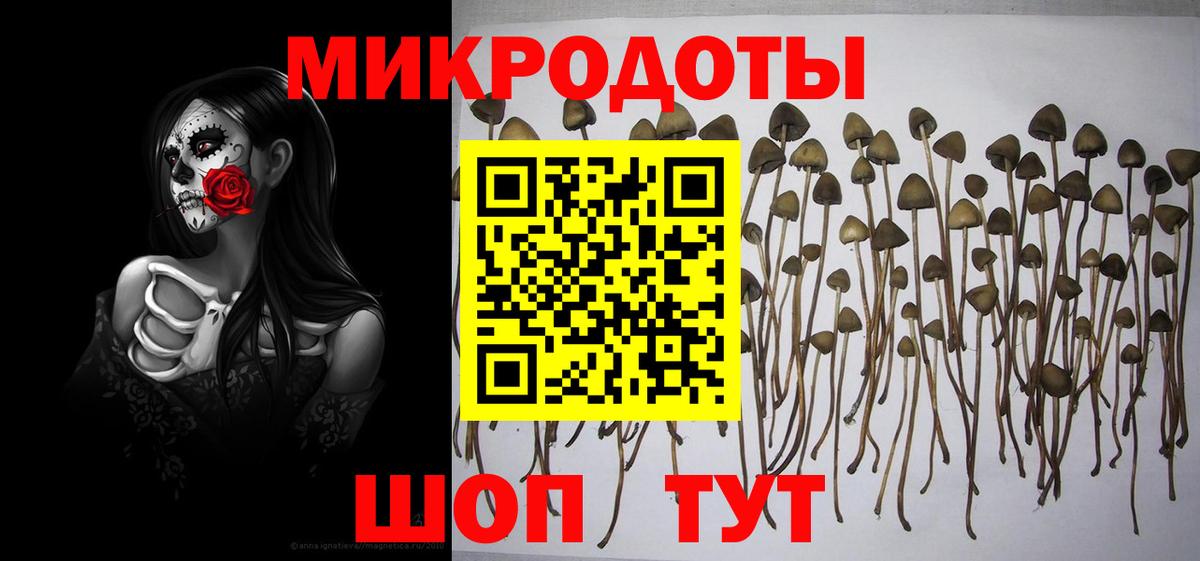 Грозный  Псилоцибиновые грибы мухоморы  Псилоцибиновые грибы прущие грибы  Вход с VPN 