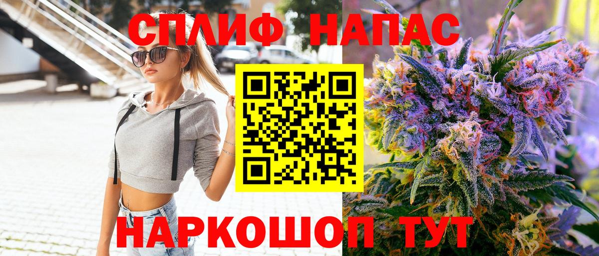 Конопля планчик Грозный